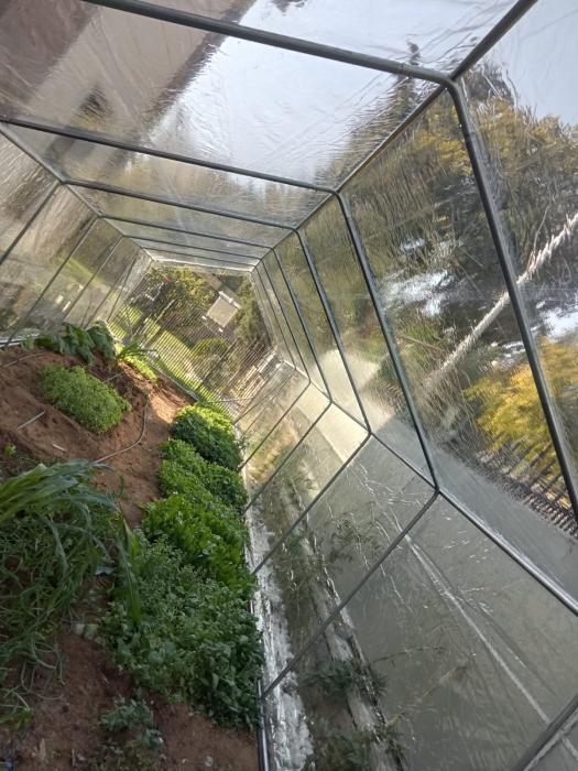 BHK AKASYA MAXI HOBİ BAHÇE SERAS 9.00*3.90*1.50 -35.10 M2